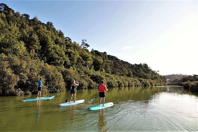 2-Hour Stand-Up Paddle Boarding Tour to Lucas Creek Waterfall - Photo 1 of 5